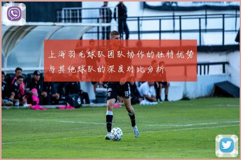 上海羽毛球队团队协作的独特优势与其他球队的深度对比分析